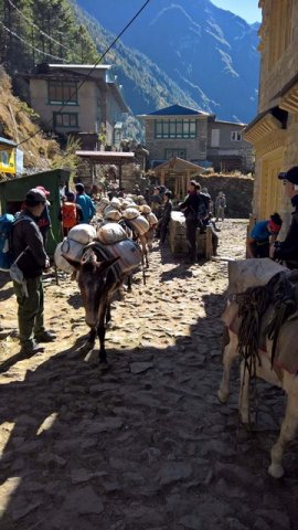 Berettyóújfaluból a Himalájára 26